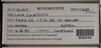 Image Associated With the Occurence